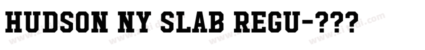 Hudson NY Slab Regu字体转换